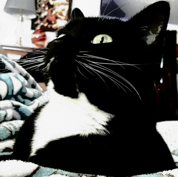 Meet your Posher, Doozer12384 ! POSH AMBASSADORπ - Picture 6 of 6